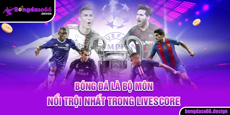 Bóng đá là bộ môn nổi trội nhất trong livescore