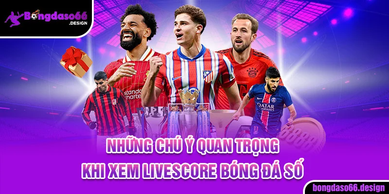 Những chú ý quan trọng khi xem livescore bóng đá số