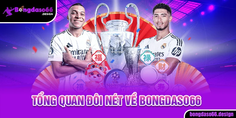Tìm hiểu về nền tảng live bongdaso - Kèo Nhà Cái